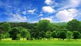 Environment