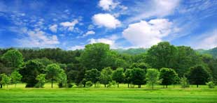 Nutrigenetics and Environment